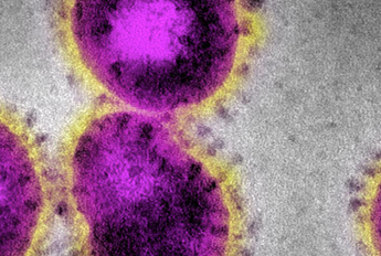 COVID-19 BSTI Imaging Database